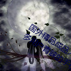 国外精品成品人入口苹果最新版:受到许多用户青睐的手机看