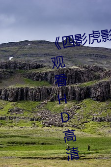 《四(sì)影虎影新地址8844mc》在线观看HD高(gāo)清(qīng)