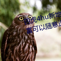 四虎(hǔ)4hu新(xīn)地址入(rù)口2022内容丰富可以随意选择