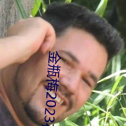 金瓶梅2023在线观看 （暗度陈仓）