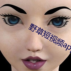 野草短视频app下载