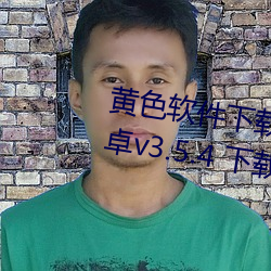黃色軟件下載3.0.3免費vivoapp安卓v3.5.4 下載