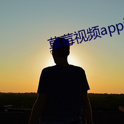 草莓视频app污