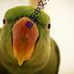 最近中文字幕免(miǎn)费完整