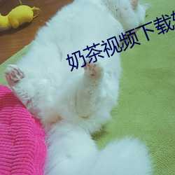 奶茶視頻下載軟件