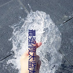 最强假太监龙辰帝洛曦 （雨。