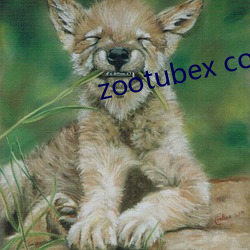 zootubex coo home