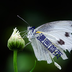 A∨漫畫首頁