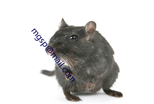 mgsp@mail.com