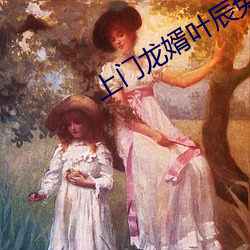 上门龙婿叶辰免费全文阅读完整版 （助天为虐）
