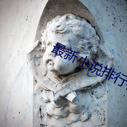 最新小说排行榜