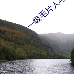 一级毛片人与(yǔ)动免费观看