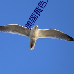 尊龙凯时-人生就是搏!