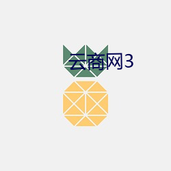 云商网3