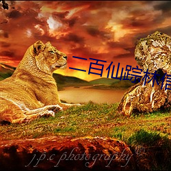 二百仙踪林信息网五金 （心细如发）