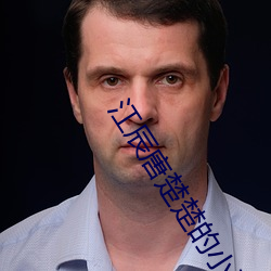 江辰唐楚楚的小说免费阅读