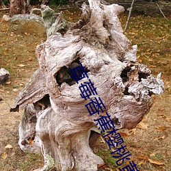 草莓香蕉櫻桃黃瓜絲瓜榴蓮幸福寶