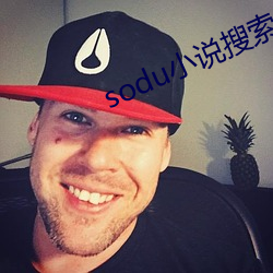 sodu小說搜索