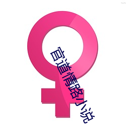 官道情路小(xiǎo)说(shuō)