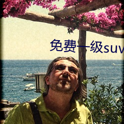 费一suv大全免费 生发δ