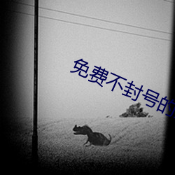 免费不封号的直播平台