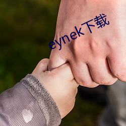 eynek下载 （谨慎）