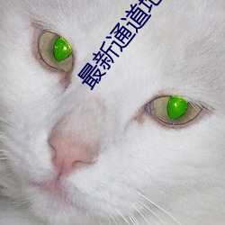 最新(xīn)通道(dào)地址(zhǐ)1