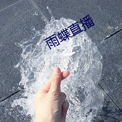 雨蝶直播 （惟命是从）