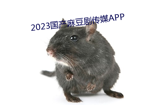 2023鶹紫ýAPP 