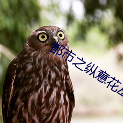 都市之縱意花叢