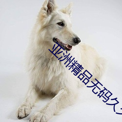 亚洲精品无码久久久久久专区电影
