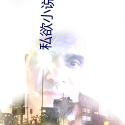 私欲小說完整版300章
