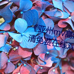 《亚州mv高清砖码(碼)2022免(免)费》超(超)清免费(費)在线观看(看)