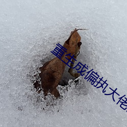 凯时|AG(AsiaGaming)优质运营商