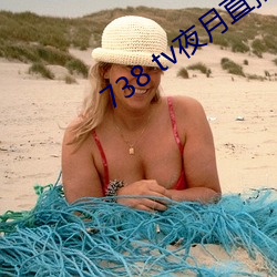 738 tv夜月直播最新版下载