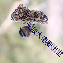 无敌大佬(lǎo)要出(chū)世