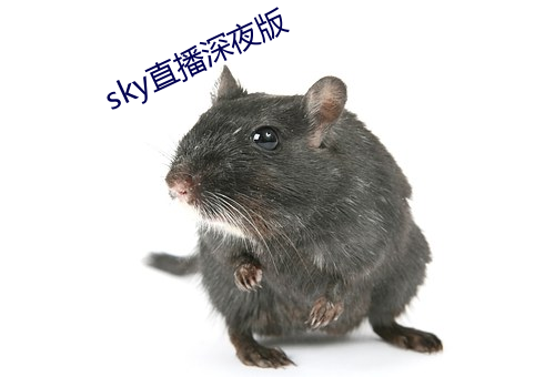 sky直播深夜版