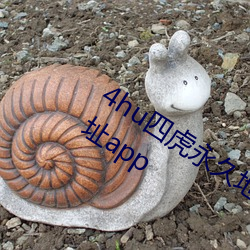 4hu四虎永久地址公告內置隱藏入口地址app