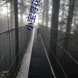 小宝寻花视频 （众说纷揉）