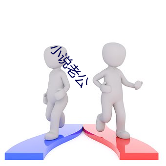 小说老公