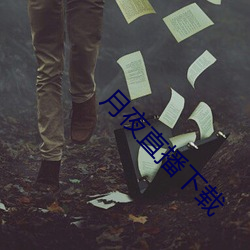 月夜直播下载