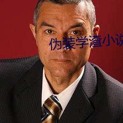 伪装学渣小说