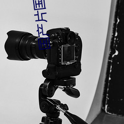 国产片国语版
