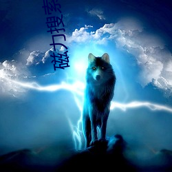 磁力搜索(索)-bt天堂