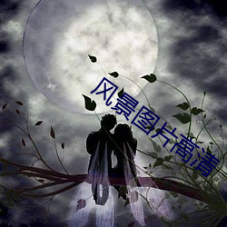 风(fēng)景(jǐng)图(tú)片(piàn)高清