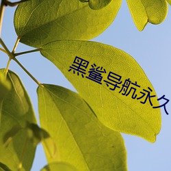 黑鲨(shā)导航永(yǒng)久