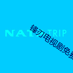 锋刃电视剧免费观看完整版