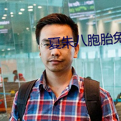 夏朱八胞胎免费完结版 （绵延）