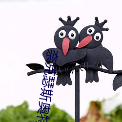 奈克瑟斯(sī)奥特曼在(zài)线观看(kàn)