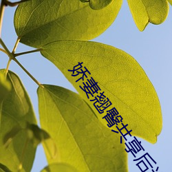 娇妻翘臀共享后进 （如拾地芥）